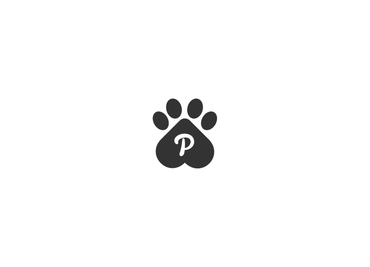 website logo design